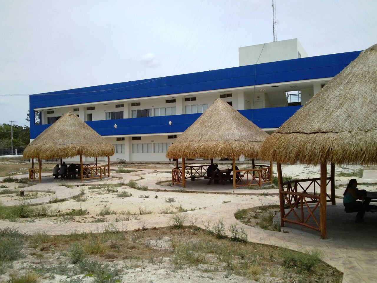 En Riesgo 300 Hectáreas del Centro Regional Universitario de la Península de Yucatán; Piden Intervención del Senado